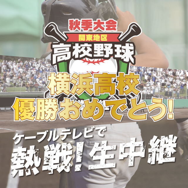 第79回 秋季関東地区高等学校野球大会