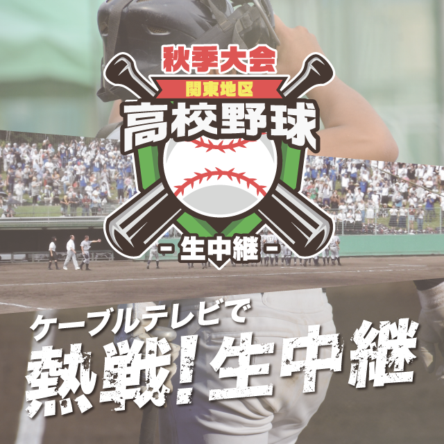 第79回 秋季関東地区高等学校野球大会