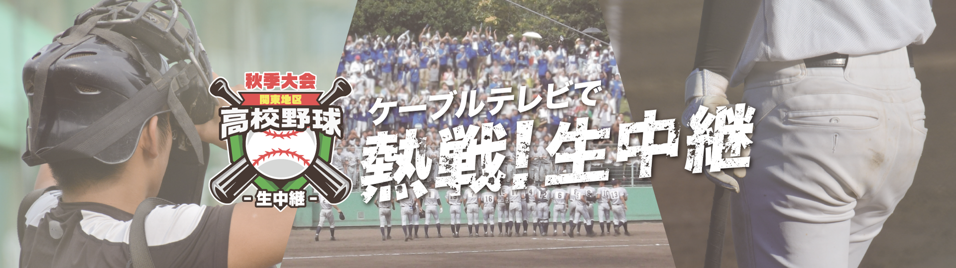 第79回 秋季関東地区高等学校野球大会