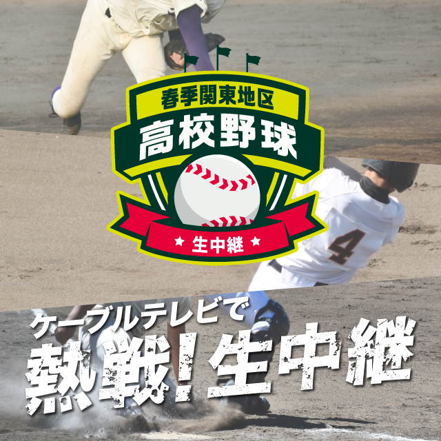 第78回春季関東地区高等学校野球大会