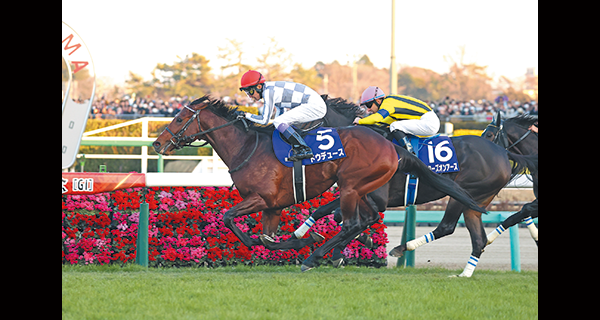 グリーンチャンネルHD <br/> グリーンチャンネル2HD