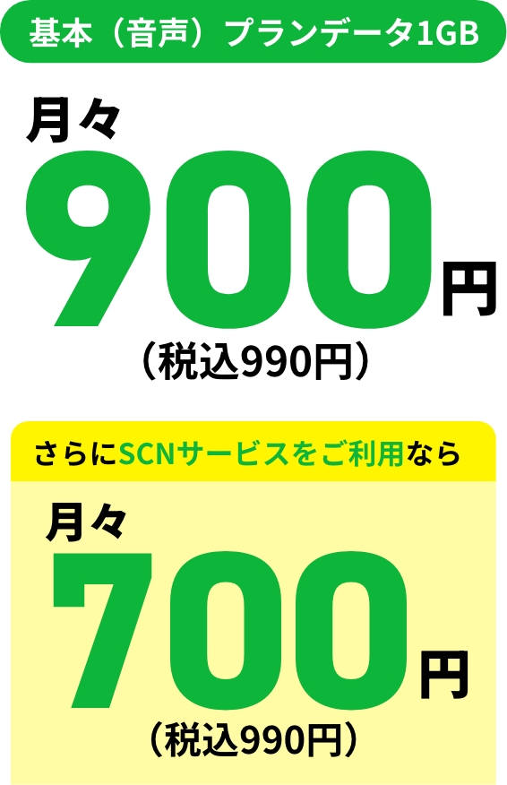 音声プラン付きでこの価格！