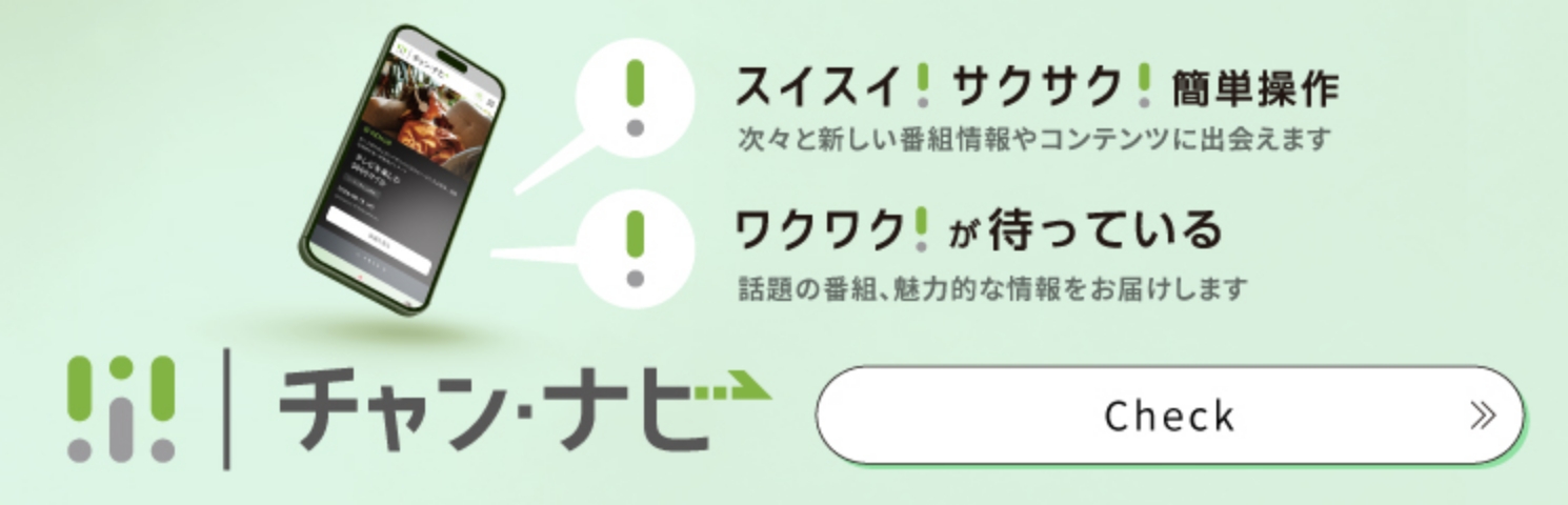 チャン・ナビのサービス紹介