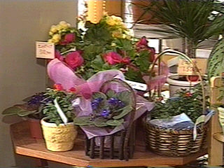 (有)フローラ　せお