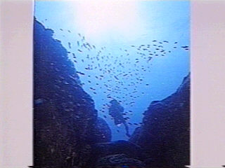 ブルーオーシャンツアー