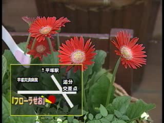 (有)フローラ　せお 地図